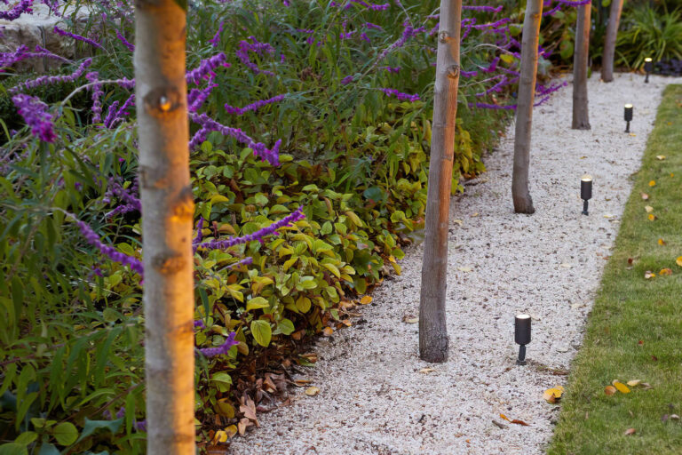 Gravel in the Garden