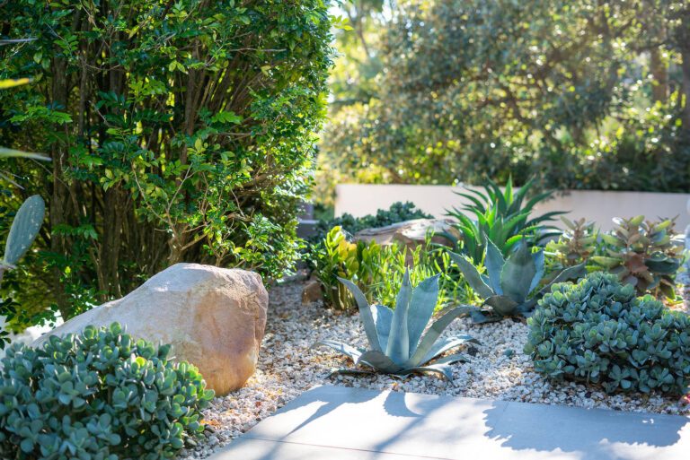 Colour in the Winter Garden