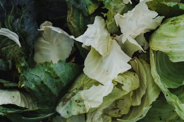 Compost & Recycling