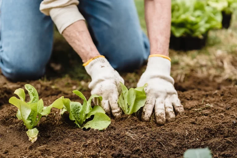 Cost of Living Gardening