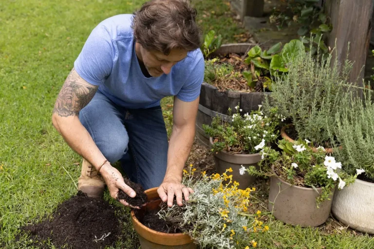 What Type of Gardener Are You? Finding Your Green Thumb Style