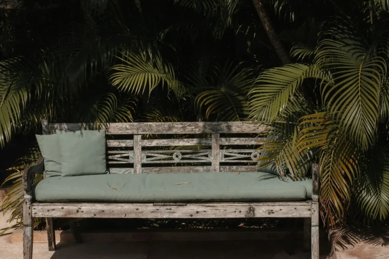 Transform Your Shady Garden into a Lush Oasis