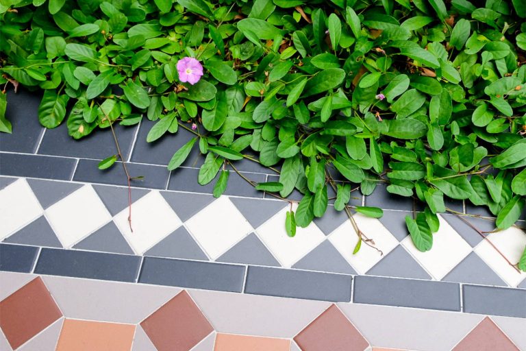 Ground Covers in Landscape Design: Structure, Texture and Function