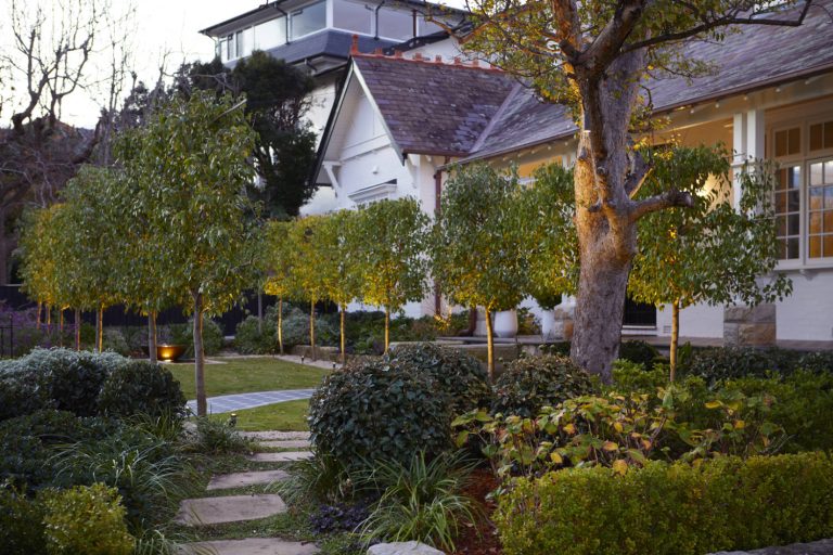 Garden Focal Points: How Design Directs the Eye Outdoors