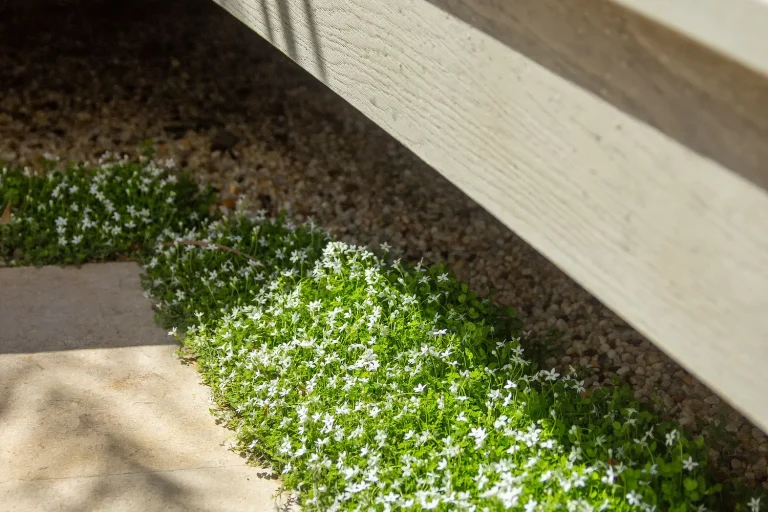 Garden Materials That Elevate Your Outdoor Design