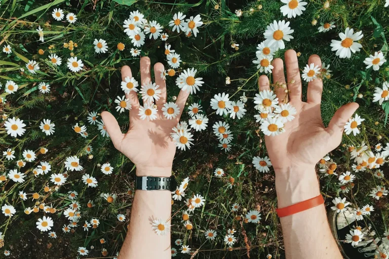 Wellness Garden Design: Outdoor Spaces That Restore and Sustain